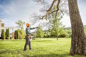 Best Soil Testing and Treatment  in Fairmount, IN