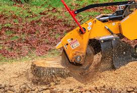 Best Leaf Removal  in Fairmount, IN